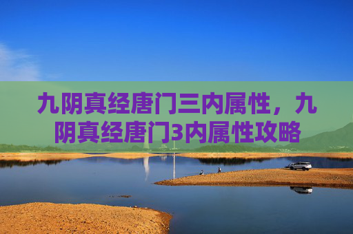 九阴真经唐门三内属性，九阴真经唐门3内属性攻略