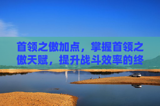 首领之傲加点，掌握首领之傲天赋，提升战斗效率的终极指南