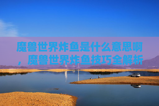 魔兽世界炸鱼是什么意思啊，魔兽世界炸鱼技巧全解析，新手与老鸟的必修课