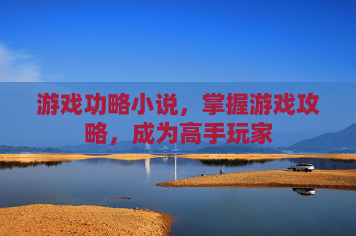 游戏功略小说,掌握游戏攻略,成为高手玩家 游戏功略小说,掌握游戏攻略,成为高手玩家