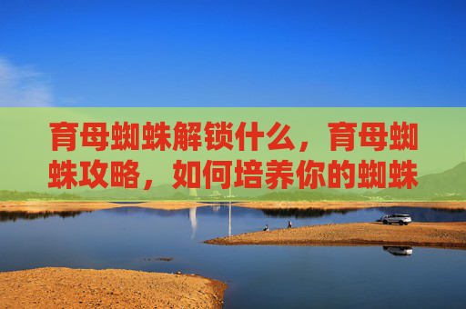 育母蜘蛛解锁什么，育母蜘蛛攻略，如何培养你的蜘蛛宝宝