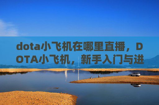 dota小飞机在哪里直播,DOTA小飞机,新手入门与进阶指南 dota小飞机在哪里直播,DOTA小飞机,新手入门与进阶指南