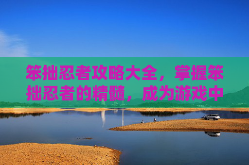 笨拙忍者攻略大全，掌握笨拙忍者的精髓，成为游戏中的终极战士