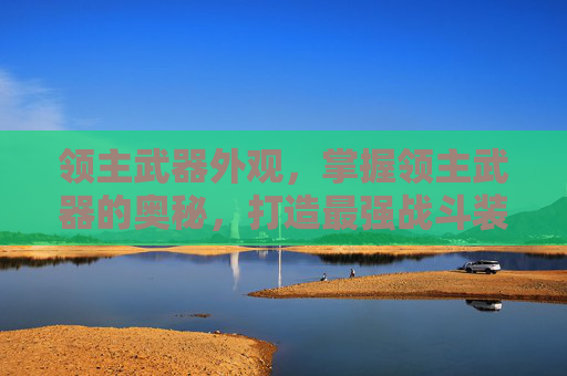 领主武器外观，掌握领主武器的奥秘，打造最强战斗装备