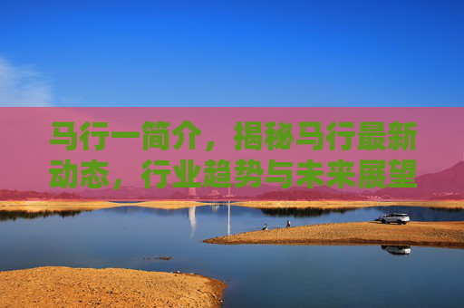 马行一简介，揭秘马行最新动态，行业趋势与未来展望
