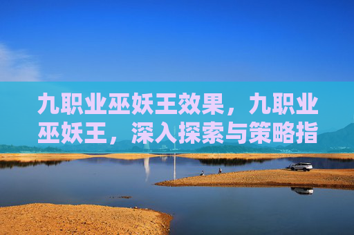 九职业巫妖王效果，九职业巫妖王，深入探索与策略指南