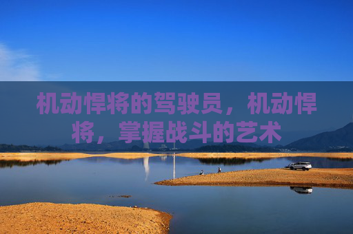 机动悍将的驾驶员,机动悍将,掌握战斗的艺术 机动悍将的驾驶员,机动悍将,掌握战斗的艺术
