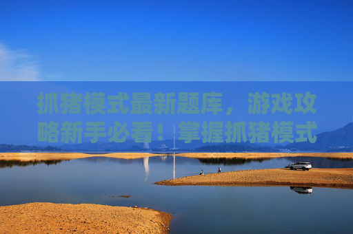 抓猪模式最新题库,游戏攻略新手必看!掌握抓猪模式的五大技巧 抓猪模式最新题库,游戏攻略新手必看!掌握抓猪模式的五大技巧