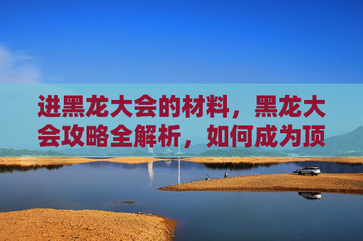 进黑龙大会的材料，黑龙大会攻略全解析，如何成为顶级玩家的秘诀