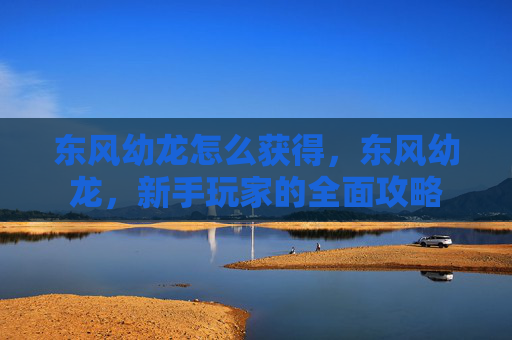 东风幼龙怎么获得，东风幼龙，新手玩家的全面攻略