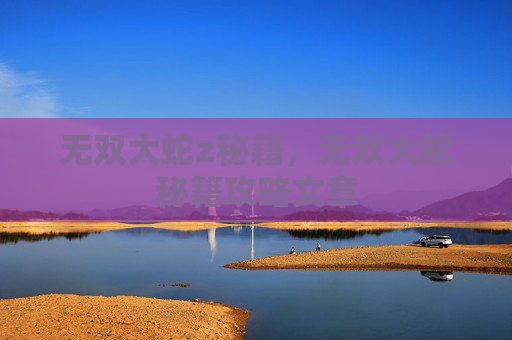 无双大蛇z秘籍，无双大蛇秘籍攻略文章