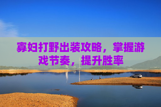 寡妇打野出装攻略，掌握游戏节奏，提升胜率