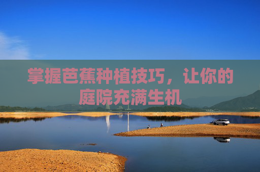 掌握芭蕉种植技巧,让你的庭院充满生机 掌握芭蕉种植技巧,让你的庭院充满生机