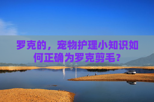 罗克的,宠物护理小知识如何正确为罗克剪毛? 罗克的,宠物护理小知识如何正确为罗克剪毛?