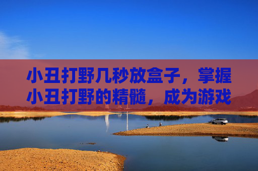 小丑打野几秒放盒子，掌握小丑打野的精髓，成为游戏中的终极刺客