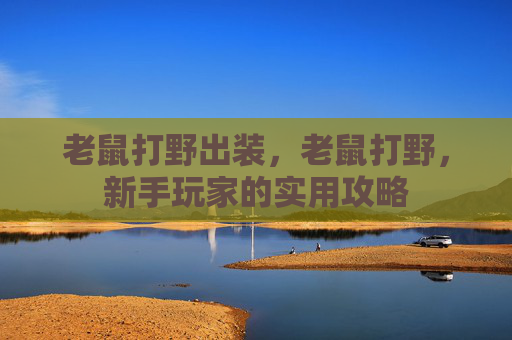 老鼠打野出装，老鼠打野，新手玩家的实用攻略