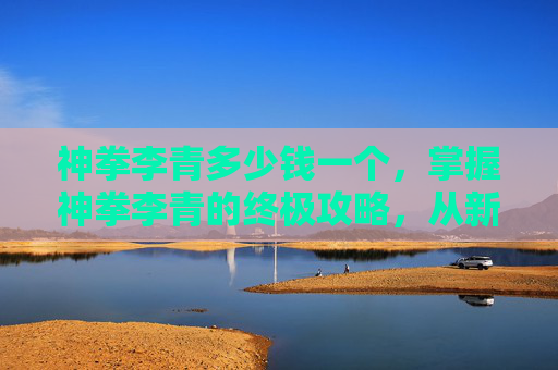神拳李青多少钱一个，掌握神拳李青的终极攻略，从新手到高手的蜕变之路