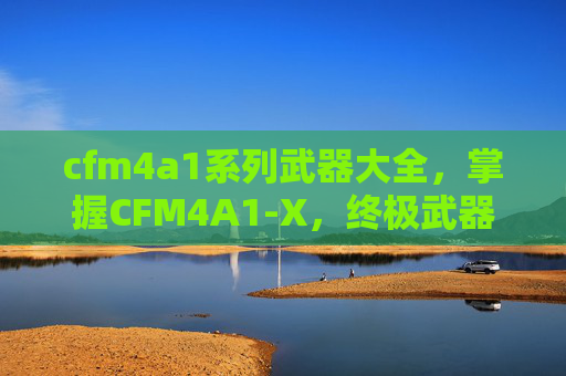 cfm4a1系列武器大全，掌握CFM4A1-X，终极武器使用攻略