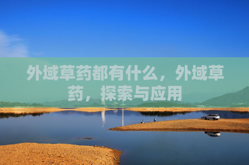 外域草药都有什么，外域草药，探索与应用