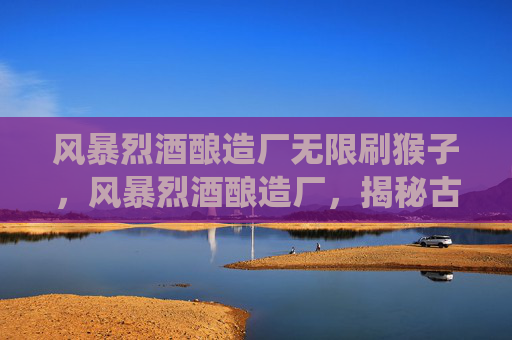 风暴烈酒酿造厂无限刷猴子，风暴烈酒酿造厂，揭秘古老酿酒工艺的现代演绎