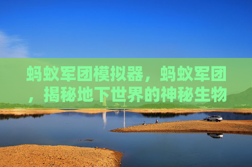 蚂蚁军团模拟器,蚂蚁军团,揭秘地下世界的神秘生物 蚂蚁军团模拟器,蚂蚁军团,揭秘地下世界的神秘生物