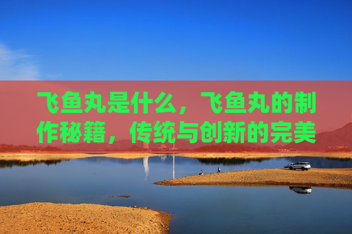 飞鱼丸是什么,飞鱼丸的制作秘籍,传统与创新的完美融合 飞鱼丸是什么,飞鱼丸的制作秘籍,传统与创新的完美融合
