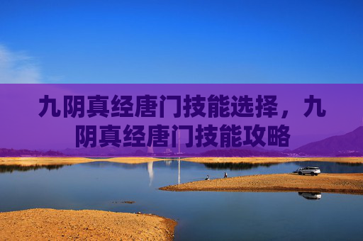 九阴真经唐门技能选择，九阴真经唐门技能攻略