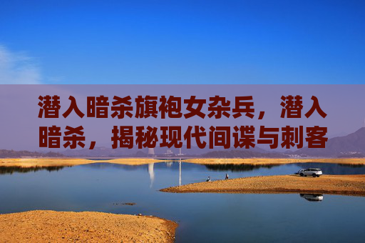 潜入暗杀旗袍女杂兵，潜入暗杀，揭秘现代间谍与刺客的隐秘行动