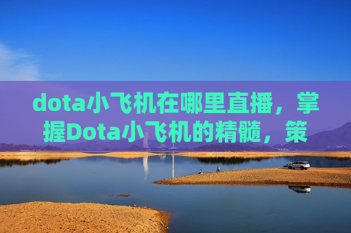 dota小飞机在哪里直播，掌握Dota小飞机的精髓，策略与技巧全解析