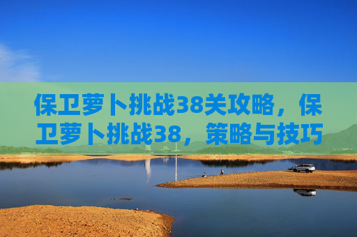 保卫萝卜挑战38关攻略，保卫萝卜挑战38，策略与技巧全解析