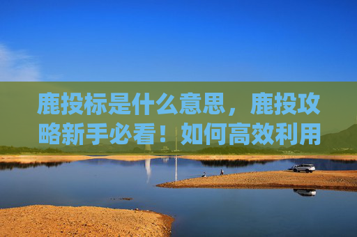 鹿投标是什么意思，鹿投攻略新手必看！如何高效利用鹿投系统？