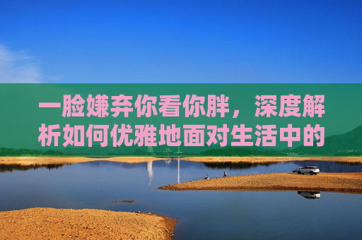 一脸嫌弃你看你胖，深度解析如何优雅地面对生活中的一脸嫌弃