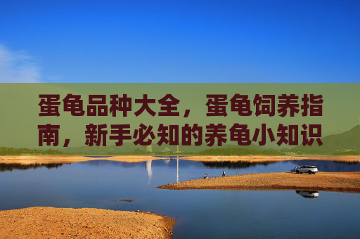 蛋龟品种大全,蛋龟饲养指南,新手必知的养龟小知识 蛋龟品种大全,蛋龟饲养指南,新手必知的养龟小知识