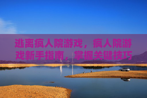逃离疯人院游戏,疯人院游戏新手指南,掌握关键技巧,解锁游戏乐趣 逃离疯人院游戏,疯人院游戏新手指南,掌握关键技巧,解锁游戏乐趣