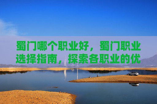 蜀门哪个职业好，蜀门职业选择指南，探索各职业的优劣与适应策略