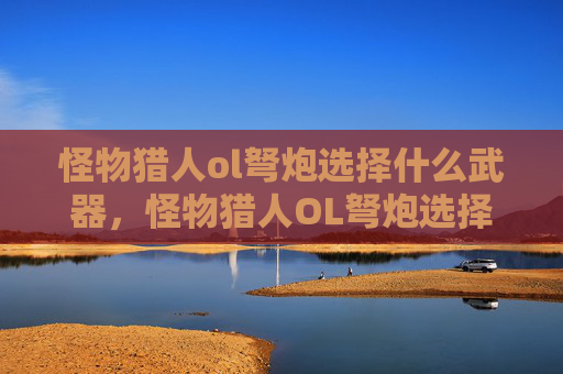 怪物猎人ol弩炮选择什么武器，怪物猎人OL弩炮选择攻略，掌握你的武器，成为狩猎高手