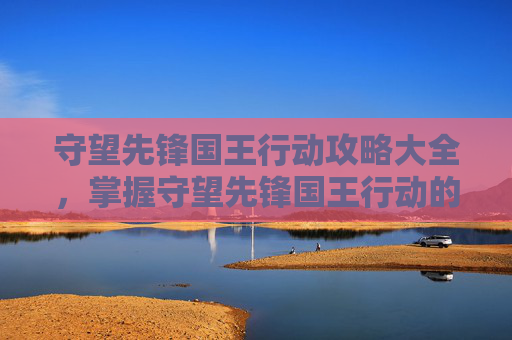 守望先锋国王行动攻略大全，掌握守望先锋国王行动的制胜之道
