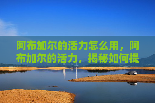 阿布加尔的活力怎么用,阿布加尔的活力,揭秘如何提升角色能力与战斗效率 阿布加尔的活力怎么用,阿布加尔的活力,揭秘如何提升角色能力与战斗效率