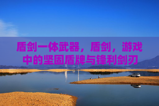 盾剑一体武器，盾剑，游戏中的坚固盾牌与锋利剑刃