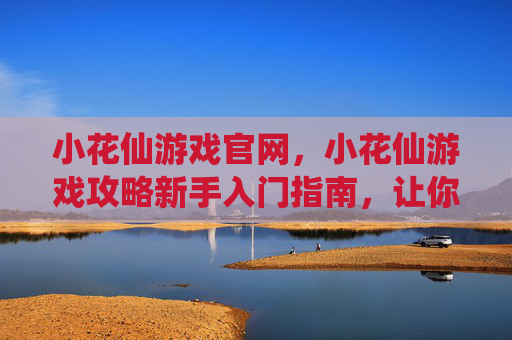 小花仙游戏官网，小花仙游戏攻略新手入门指南，让你轻松成为花仙子！