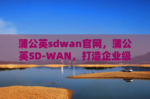 蒲公英sdwan官网,蒲公英SD-WAN,打造企业级网络优化的利器 蒲公英sdwan官网,蒲公英SD-WAN,打造企业级网络优化的利器