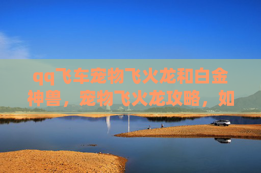 qq飞车宠物飞火龙和白金神兽,宠物飞火龙攻略,如何培养你的QQ飞车宠物飞火龙? qq飞车宠物飞火龙和白金神兽,宠物飞火龙攻略,如何培养你的QQ飞车宠物飞火龙?
