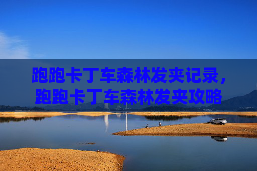跑跑卡丁车森林发夹记录，跑跑卡丁车森林发夹攻略